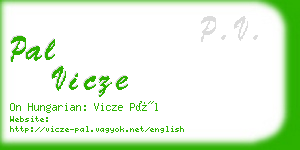 pal vicze business card